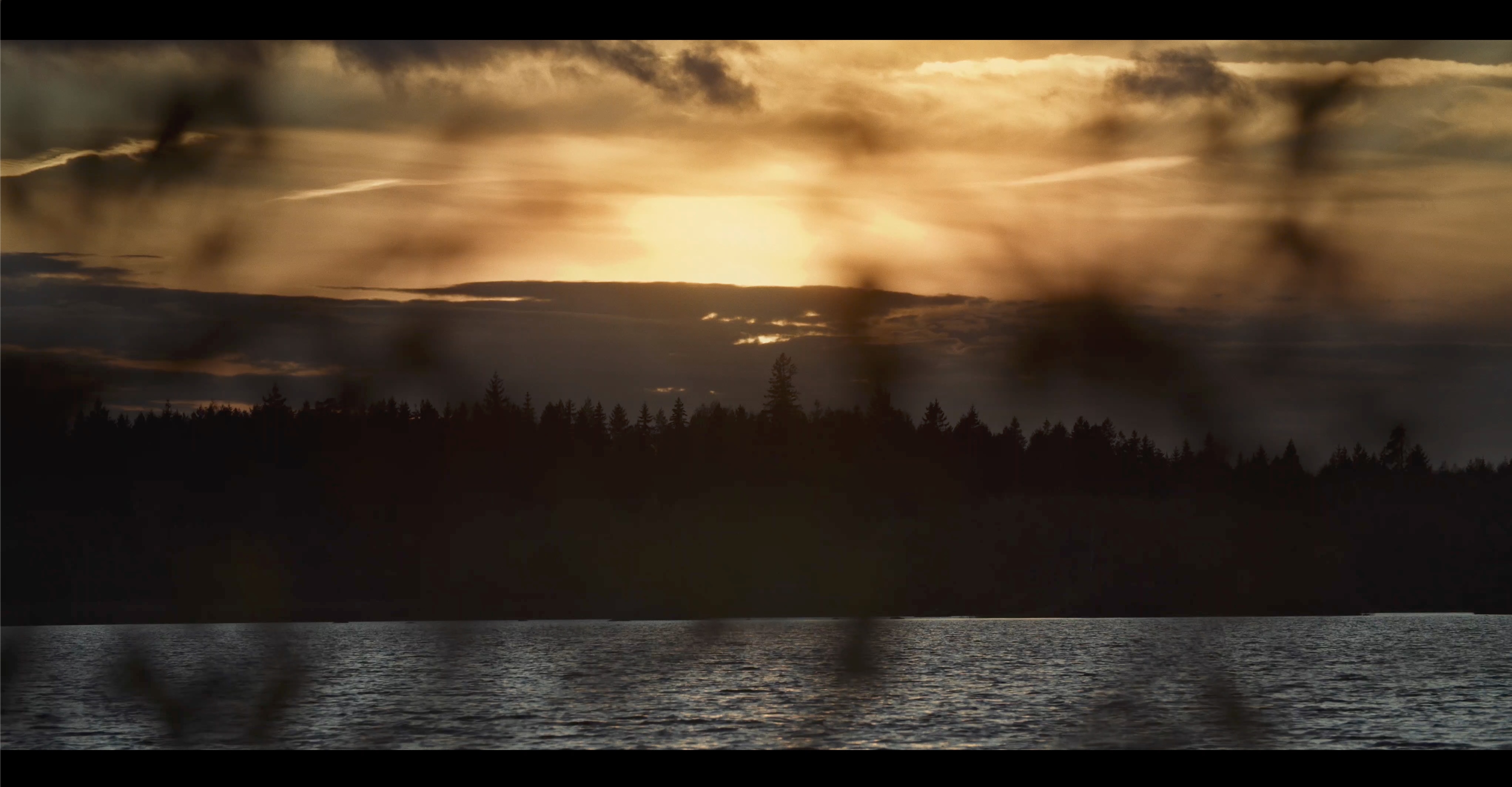 Any Video By Blocs Builder