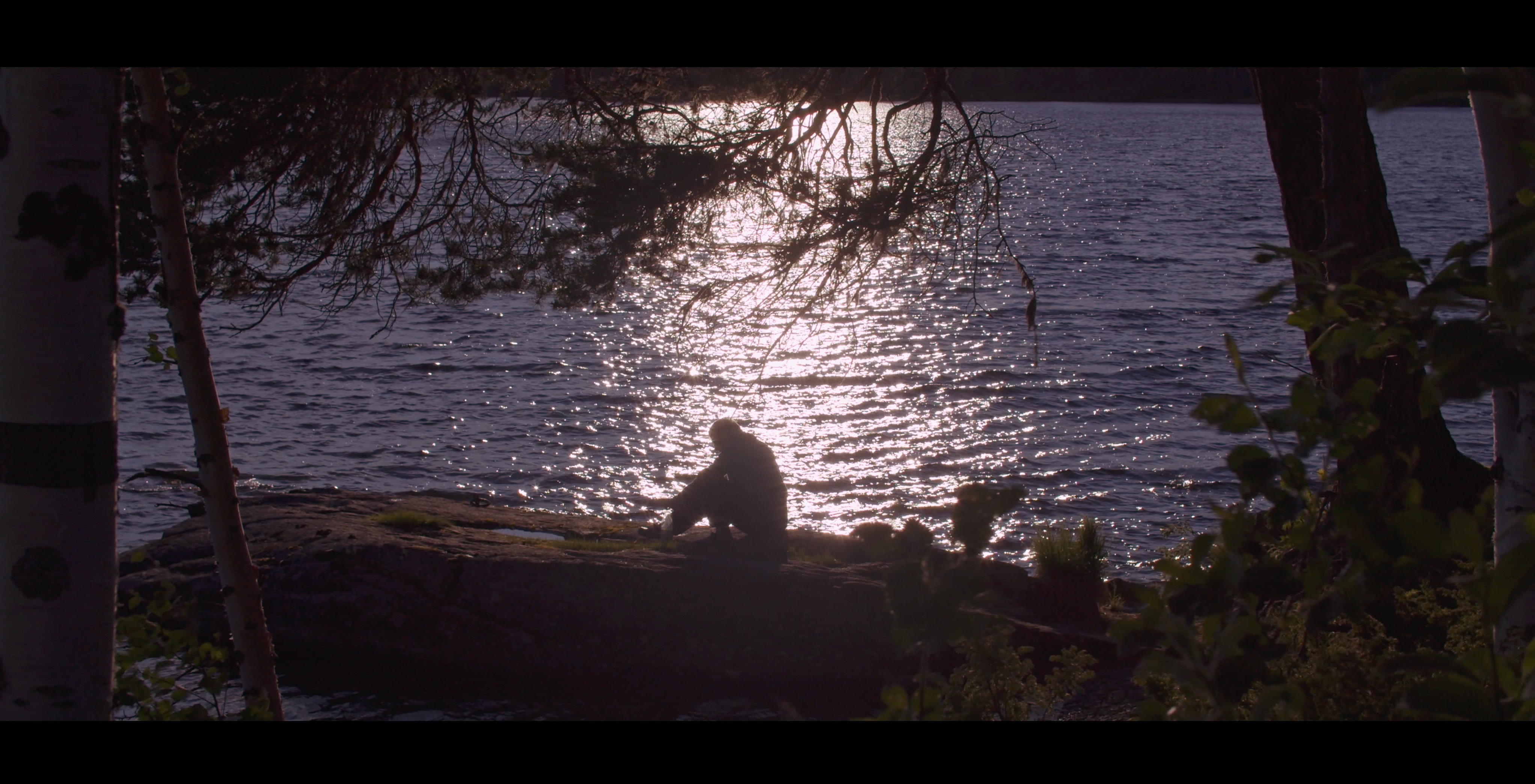 Any Video By Blocs Builder